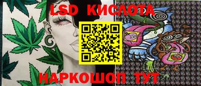 амф Кингисепп