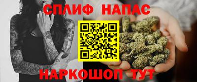 дмт Кинель