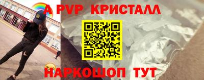 амф Кингисепп