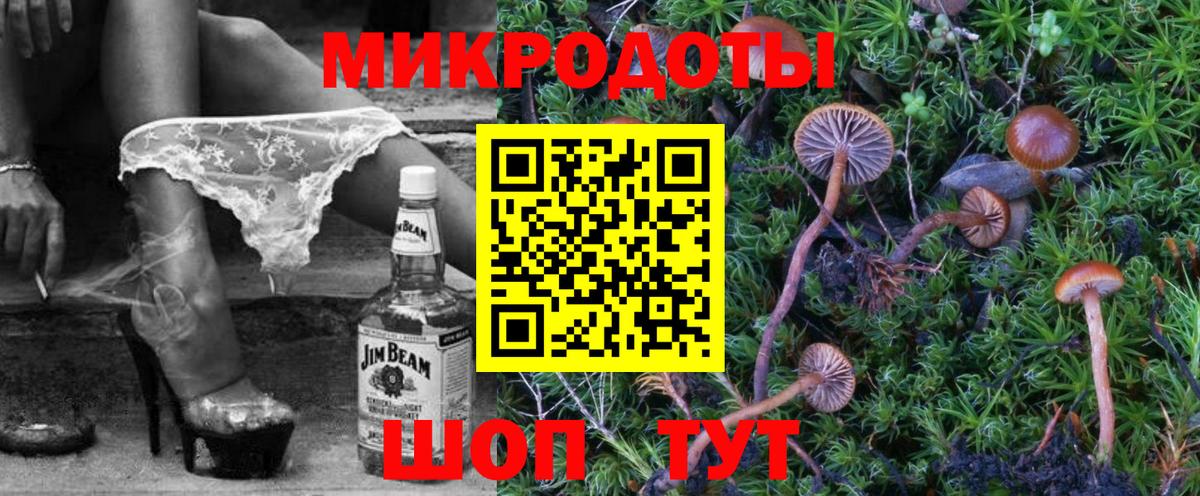 Псилоцибиновые грибы Psilocybe Красноармейск