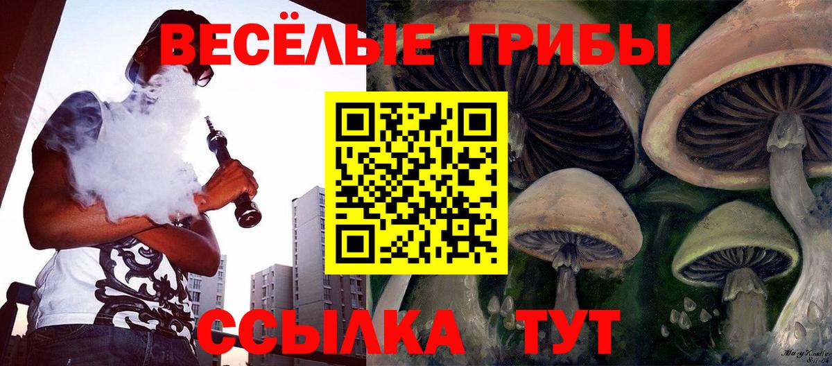 купить наркоту  Псилоцибиновые грибы ЛСД  Вход с VPN  Красноармейск 